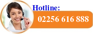 hotline hotro fpt